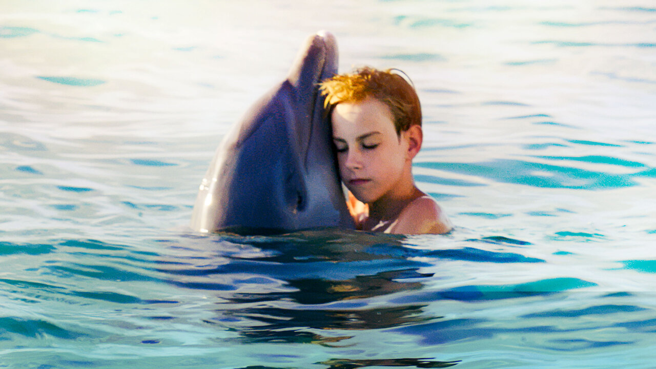 Watch Dolphin Kick | Netflix